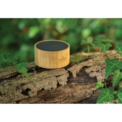 Bambusowy głośnik bezprzewodowy 10W Wynn / Brązowy P329.649