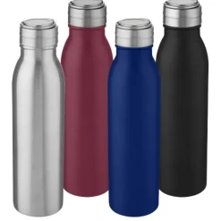 Bidon ze stali nierdzewnej Harper o pojemności 700 ml z metalową pętelką / Srebrny 10067881