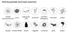 Bukiet we fiolce / Naturalny TIP27