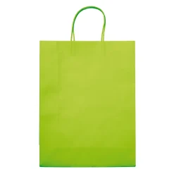 Duża Papierowa Torba Eco 120g/m² / Jasnozielony LT91718-N0032