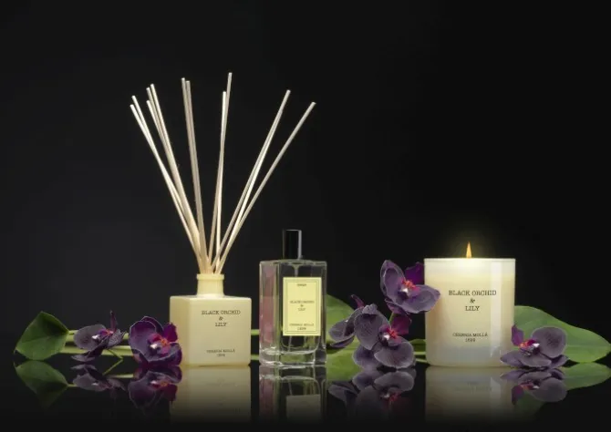 Dyfuzor Premium Reed 100ml Black Orchid CERERIA MOLLA / Beż B3CM-1323
