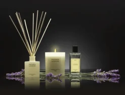 Dyfuzor Premium Reed 100ml Provence Lavender CERERIA MOLLA / - B3CM-1311