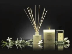Dyfuzor Premium Reed100ml Tuberose and Jasmin CERERIA MOLLA / Beż  B3CM-1319