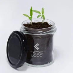 Grow Kit Szklany / Naturalny TIP06N