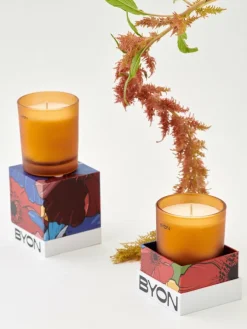 IGNITE ŚWIECA ZAPACHOWA 30 GODZ., BURSZTYNOWY / Bursztynowy 5292452414-00--00