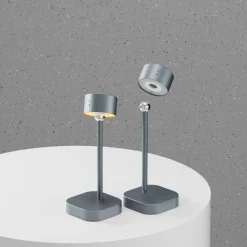 Inteligentna lampa stołowa Xoopar Mojiu ze sterowaniem głosowym / Jasnoszary LT41318-N0062
