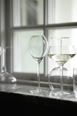 Kieliszek do szampana SAGA GLASS 27CL 2-szt, transparentny / Default 5018265-