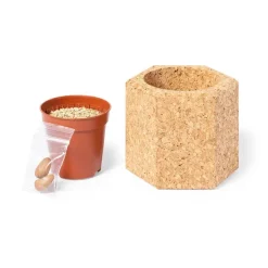 Korkowa doniczka, nasiona sosny / Neutralny V0915-00