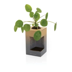 Kubek termiczny 300 ml Avira Alya / Czarny P438.021