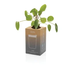 Kubek termiczny 300 ml Avira Alya / Niebieski P438.024