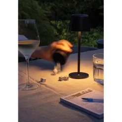 Lampka na biurko Zenic / Czarny P513.9701