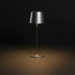 Lampka na biurko Zenic / Srebrny P513.9702