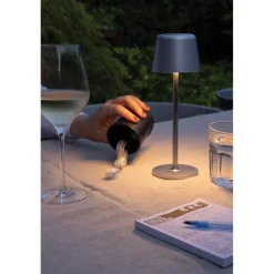 Lampka na biurko Zenic / Srebrny P513.9702