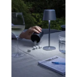 Lampka na biurko Zenic / Srebrny P513.9702