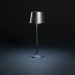 Lampka na biurko Zenic / Srebrny P513.9702