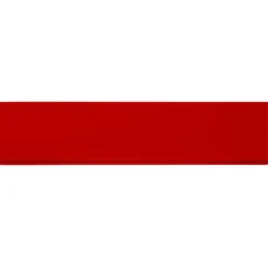 Linijka Renzo o długości 15 cm wykonana z tworzywa sztucznego / Czerwony 21053604