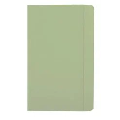 MOLESKINE Notatnik ok. A5 / Jasnozielony VM301-10