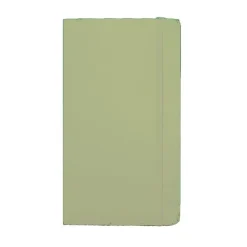 MOLESKINE Notatnik ok. A6 / Jasnozielony VM201-10