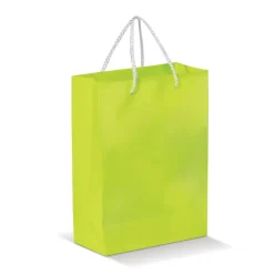 Papierowa torba duża / Jasnozielony LT91513-N0032