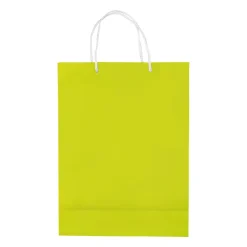 Papierowa torba duża / Jasnozielony LT91513-N0032