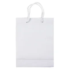 Papierowa torba mała / Biały LT91511-N0001