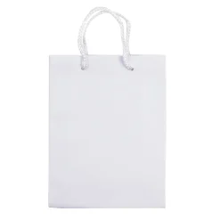 Papierowa torba mała / Biały LT91511-N0001