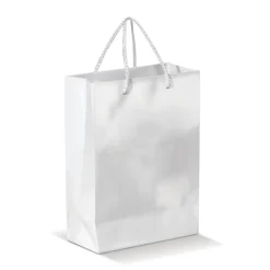 Papierowa torba mała / Biały LT91511-N0001