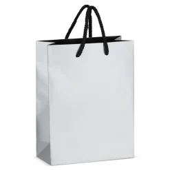 Papierowa torba prezentowa 18 x 8 x 24 cm 200 g/m² / Srebrny LT91515-N0005