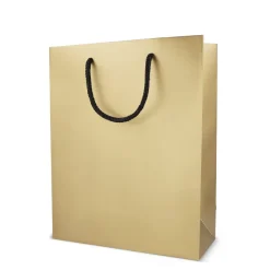 Papierowa torba prezentowa 24 x 10 x 30 cm 200 g/m² / Złoty LT91516-N0006