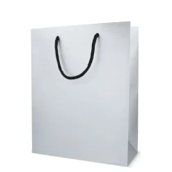 Papierowa torba prezentowa 24 x 10 x 30 cm 200 g/m² / Srebrny LT91516-N0005