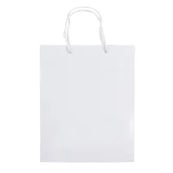 Papierowa torba średnia / Biały LT91512-N0001