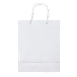 Papierowa torba średnia / Biały LT91512-N0001