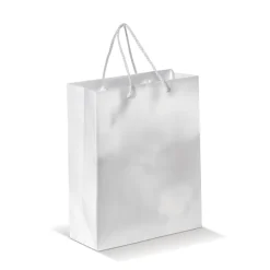 Papierowa torba średnia / Biały LT91512-N0001