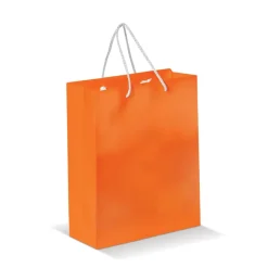 Papierowa torba średnia / Pomarańczowy LT91512-N0026