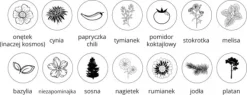 Papierowy długopis / Naturalny TIP14