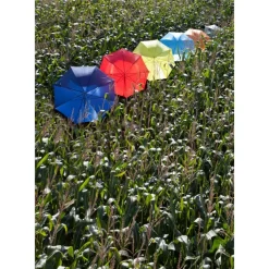 Parasol automatyczny / Pomarańczowy V4221-07