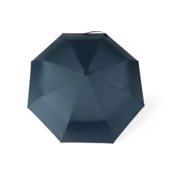 Parasol 21