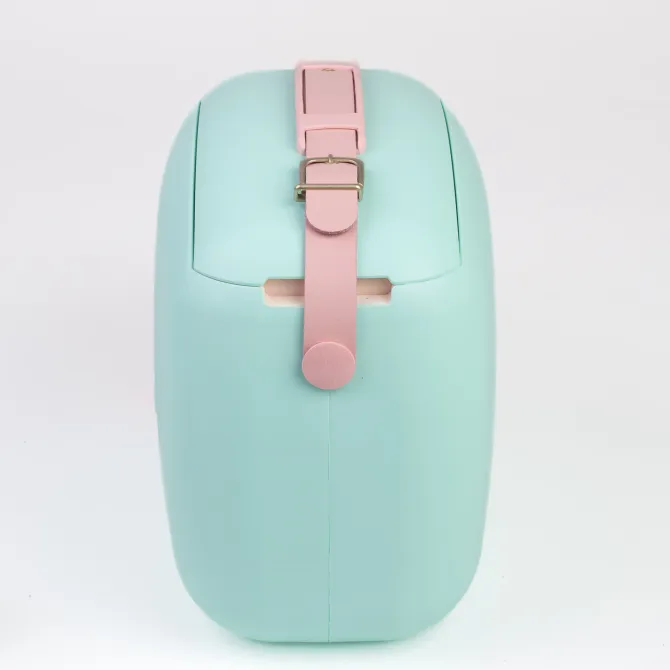 Polarbox lodówka 6L z 2 pojemnikami / Matcha – Złoty PBX69344