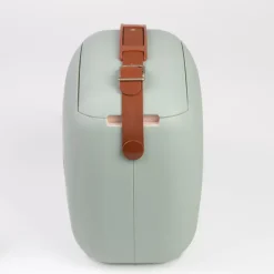 Polarbox lodówka 6L z 2 pojemnikami / Matcha – Złoty PBX69344