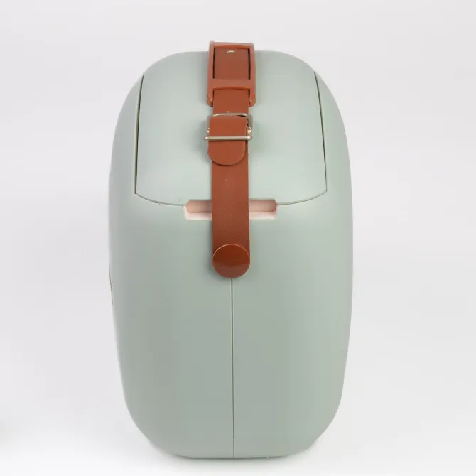 Polarbox lodówka 6L z 2 pojemnikami / Matcha – Złoty PBX69344