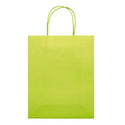 Średnia torba papierowa Eco 120g/m² / Jasnozielony LT91717-N0032