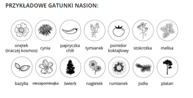Roślinne etui / Naturalny TIP19