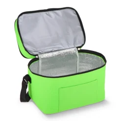 R-PET 600D Dwukomorowa torba chłodząca 30 x 20 x 24 cm 12L / Jasnozielony LT95393-N0032