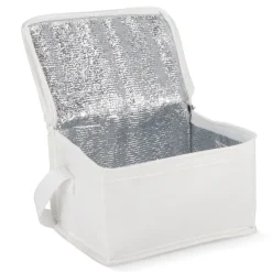 R-PET 6 Torba chłodząca na puszki z włókniny 20 x 13 x 12,5 cm 75g/m² / Biały LT95390-N0001