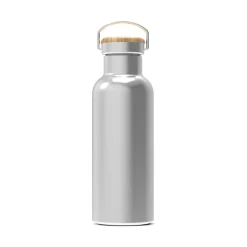 Termiczna butelka Ashton 500ml / Srebrny LT98882-N0005