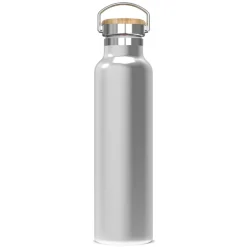 Termiczna butelka Ashton 650ml / Srebrny LT98883-N0005
