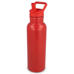 Termos Dario 500 ml / Czerwony LT98890-N0021