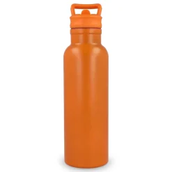 Termos Dario 500 ml / Pomarańczowy LT98890-N0026