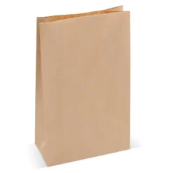 Torba papierowa 70g/m² 29x18x9cm / Brązowy LT91632-N0051