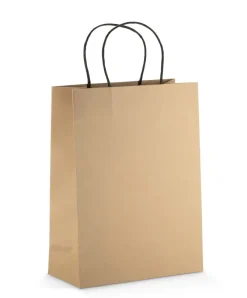 Torba papierowa PAKLO duża / Brązowy 02223-09